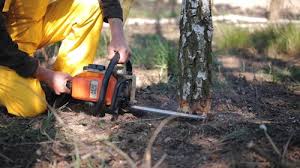 Lawn Grading and Leveling in La Grange, NC